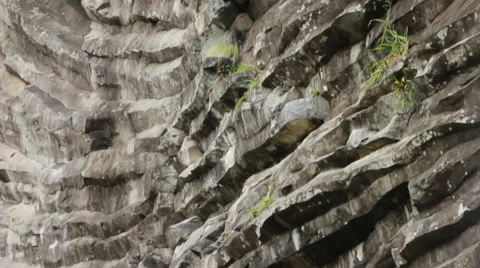 Basalt Columns in Panama Stock Footage 59318543