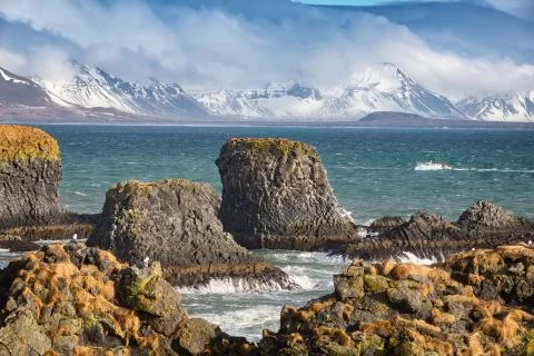 Basalt formations at Arnarstapi, Iceland Stock Photos