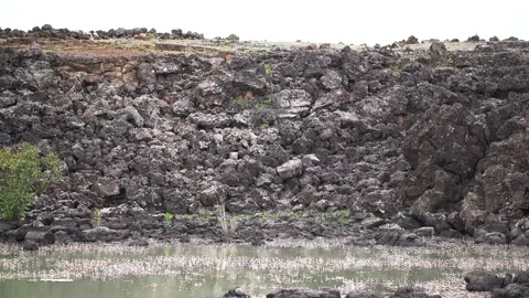 Basalt lava plain with lake water and dark volcanic rock reveals a rugged basin Stock Footage 339405133