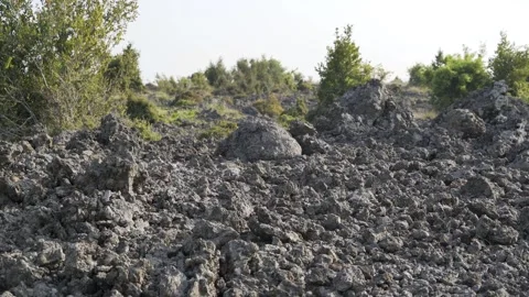 Basalt lava plain with porous volcanic rocks and sparse - Arid and Basalt Rocks Stock Footage 339402739