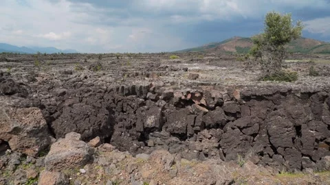 Basalt lava plain with porous volcanic rocks and sparse - Soil and Basalt Rocks Stock Footage 339404925