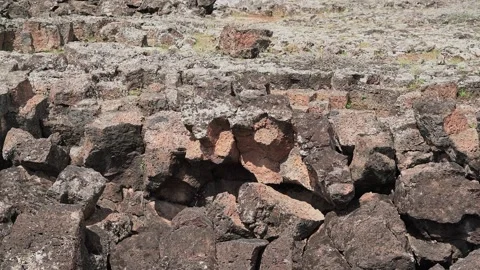 Basalt lava plain with porous volcanic rocks and sparse - Lichen and Plant Life Stock Footage 339409262