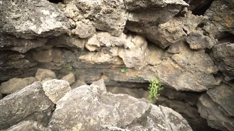 Basalt lava plain with porous volcanic rocks and sparse vegetation - Plant Life Stock Footage 339409302