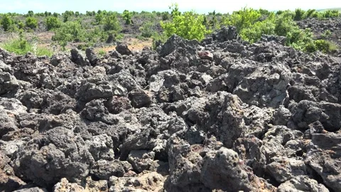Basalt lava plain with porous volcanic rocks and sparse - Magma Rock and Lichen Stock Footage 339505065