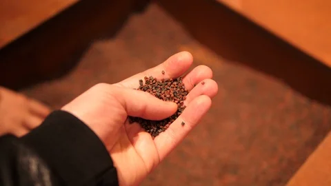 Basalt Pellets Material for 3D printing on Mars, AI SpaceFactory, 2019, Museum Vídeos de archivo 124424638