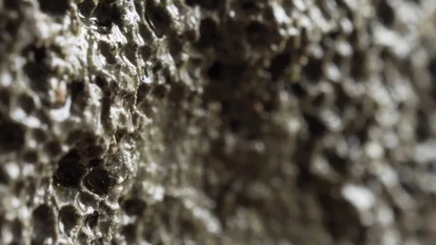 Basalt rock extreme surface close up stock footage Stock Footage 80038414