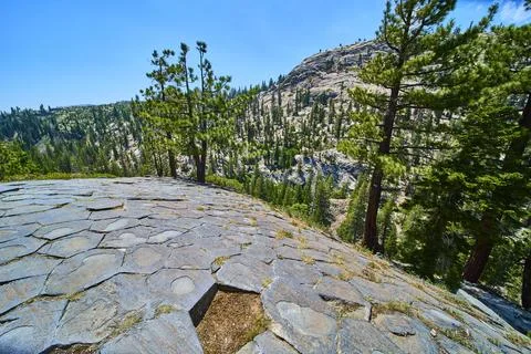 Basalt Rock Formations and Pine Trees at Devils Postpile National Monument Foto stock
