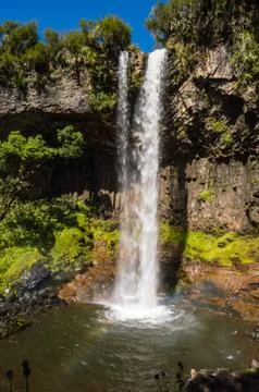 Basalt rock wall, partially covered in lush green rainforest vegetation Stock Photos