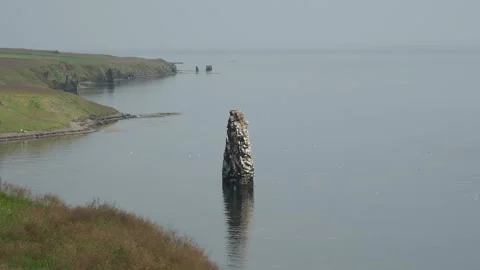 Basalt stack Hvitserkur in ocean in Iceland Stock Footage 318658770