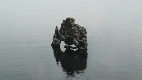 Basalt stack Hvitserkur in ocean in Iceland Stock Footage 318658798