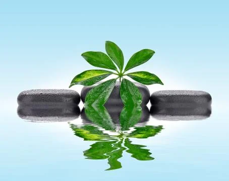 Basalt stones with leaf Stock Photos