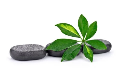 Basalt stones with leaf  Stock Photos