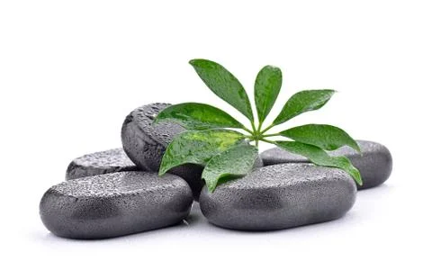 Basalt stones with leaf  Stock Photos
