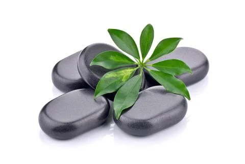 Basalt stones with leaf  Stock-Fotos