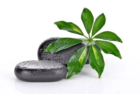 Basalt stones with leaf  Stock Photos
