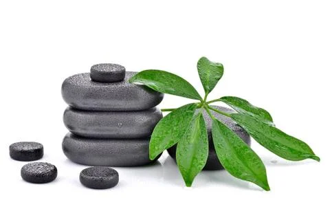 Basalt stones with leaf  Foto stock