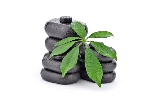 Basalt stones with leaf  Stock Photos