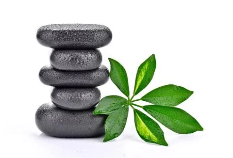Basalt stones with leaf  Stock Photos
