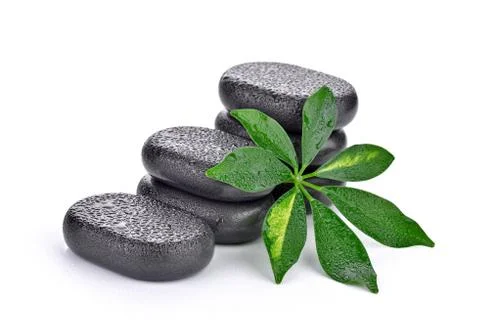 Basalt stones with leaf  Stock Photos