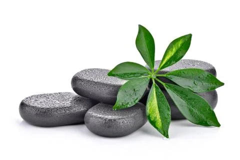 Basalt stones with leaf  Stock Photos