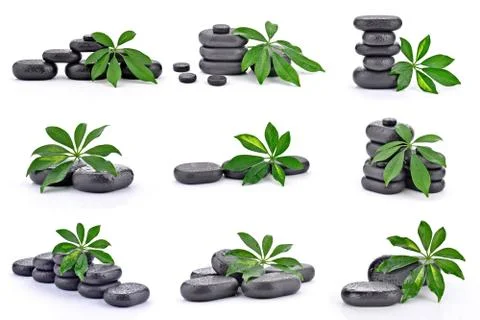 Basalt stones with leaf  Stock Photos