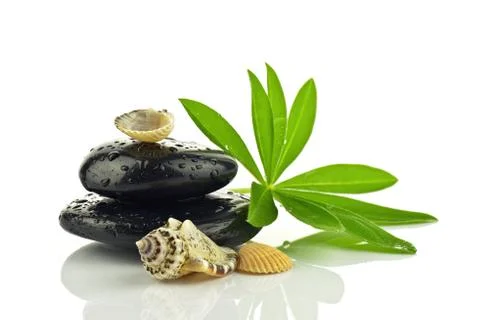 Basalt stones with shells Stock Photos