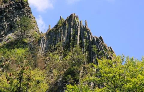 Basaltic columns emerging from forest at Detunata Stock Photos