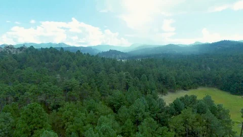 Basaseachi Stock Footage 118107858