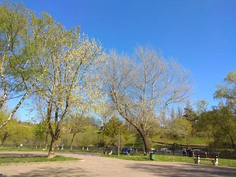 Basauri Stock Photos