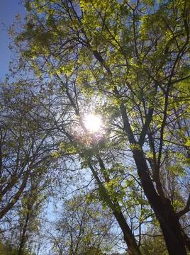 Basauri Stock Photos