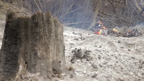 Base of a broken tree trunk destroyed by fire. Out of focus background. Stock Footage 199311382