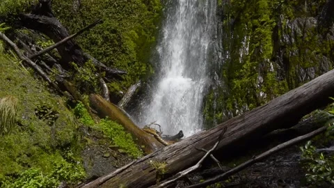 Base of the Five Mile Creek Waterfall, Lewis Pass, Canterbury, New Zealand. Stock Footage 135959791
