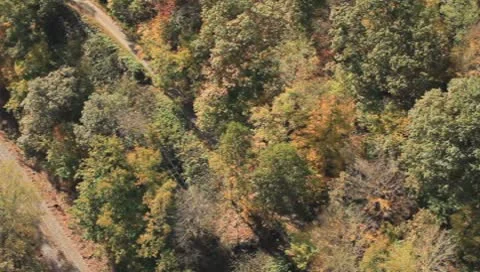 Base jumper jumping and opening parachute above the New River Stock Footage 8848483