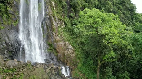 Base of Jungle Waterfall Stock Footage 218390927