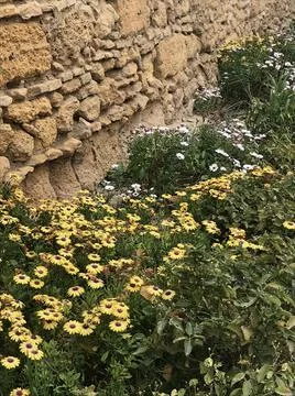 In the base Stock Photos