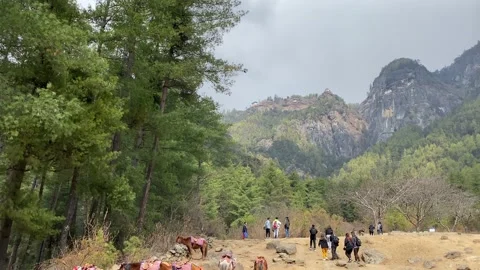 Base point to climb Tiger Nest in Bhutan Stock Footage 220304714