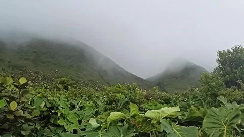 The base of Soufriere volcano mountain in clouds in Guadeloupe Video stock 292420142