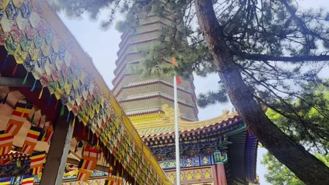 Base Structure of Chinese-style Pagoda Stock Footage 314221594
