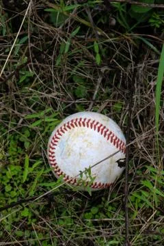 Baseball in Brush Foto stock