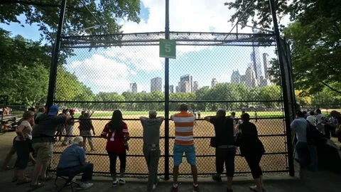 Baseball cage on field in Central Park New York City NYC Stock Footage 256193283