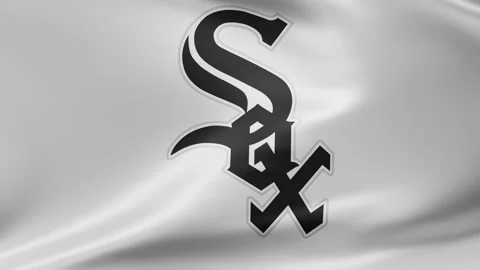 Baseball club flag Video stock 202274851