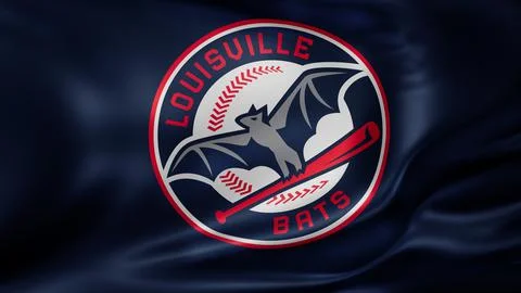 Baseball club flag Illustrazione stock