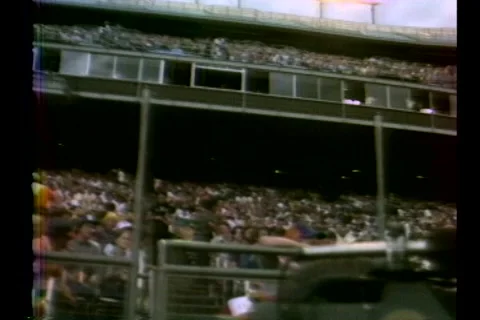 Baseball Crowd Archival Vídeo Stock 253967036
