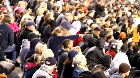 Baseball Crowd Stock Footage 788732