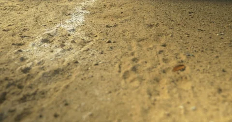 Baseball Dimond Sand Tilt Up Stock Footage 42106107