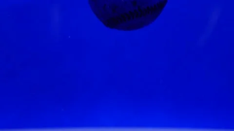 Baseball falling in blue water splashing Play ball Stock Footage 219521093