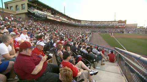 Baseball Fans 3 Stock Footage 22050155