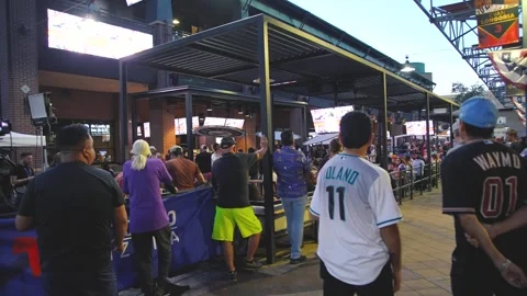 Baseball Fans at a Bar Stock Footage 275132490
