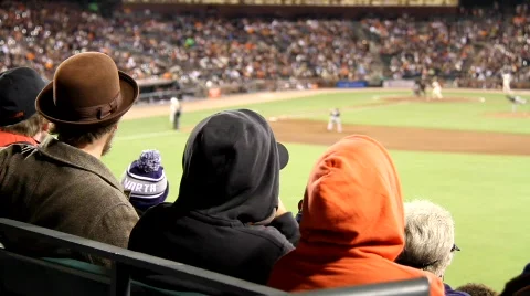 Baseball Fans Stock Footage 788712