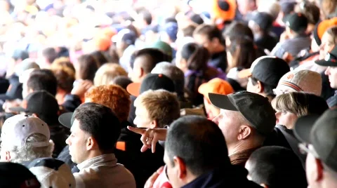 Baseball Fans Stock Footage 788772